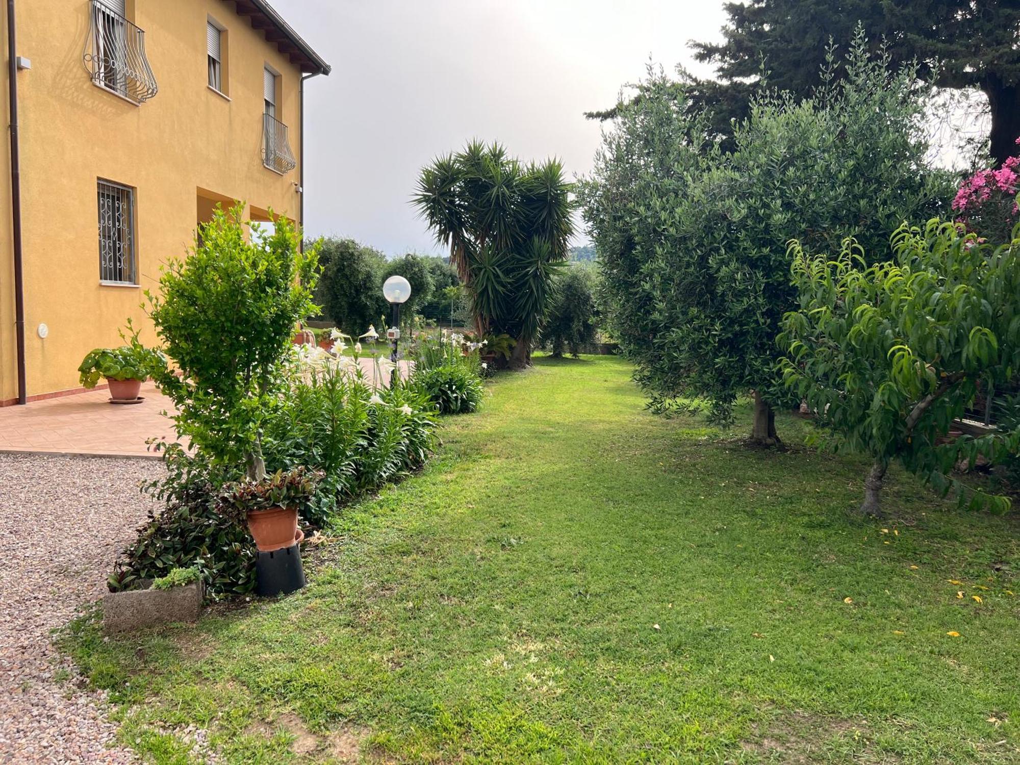 Agriturismo Il Giardino Degli Olivi Appartamenti Castiglione della Pescaia Buitenkant foto