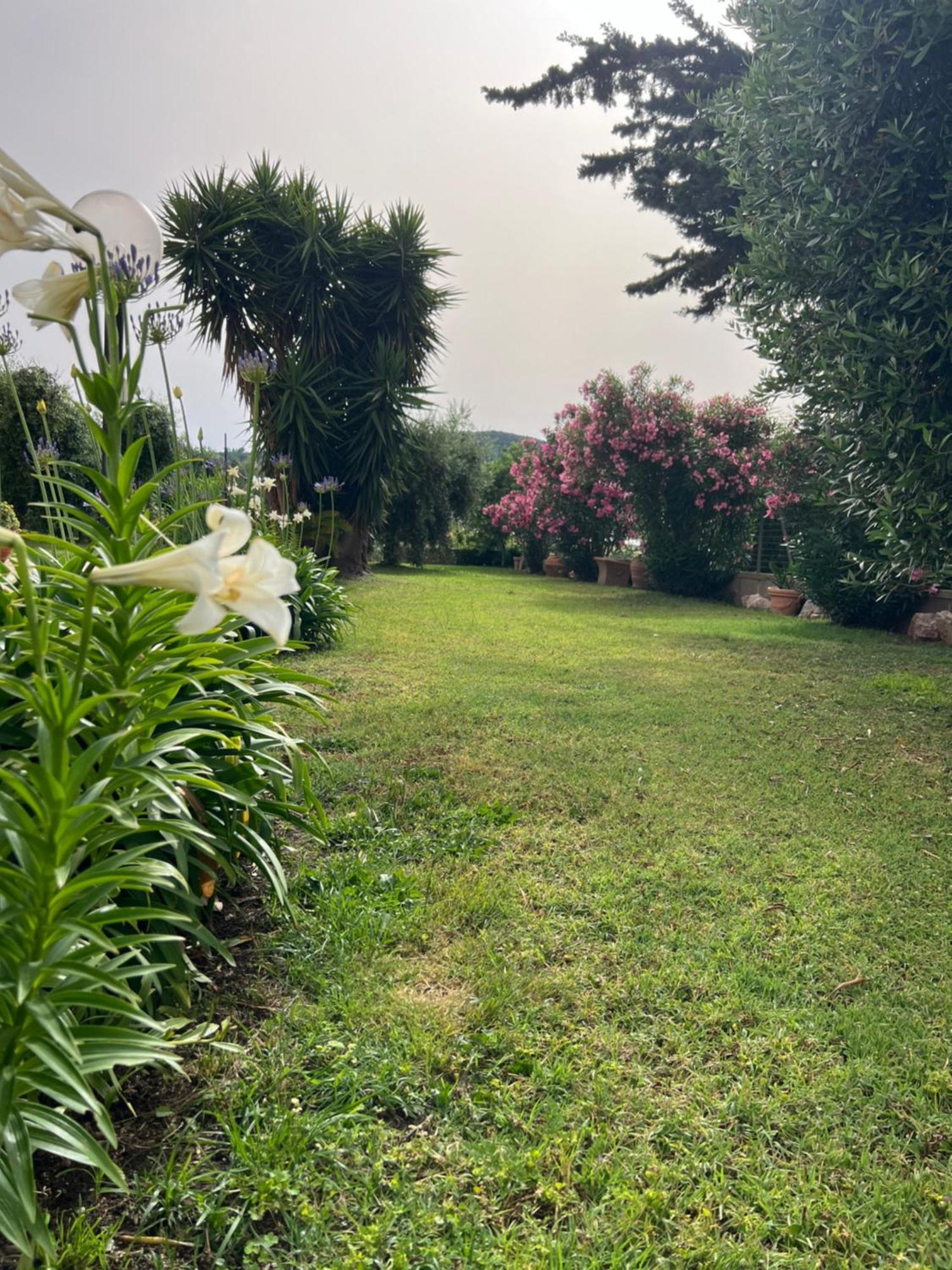 Agriturismo Il Giardino Degli Olivi Appartamenti Castiglione della Pescaia Buitenkant foto