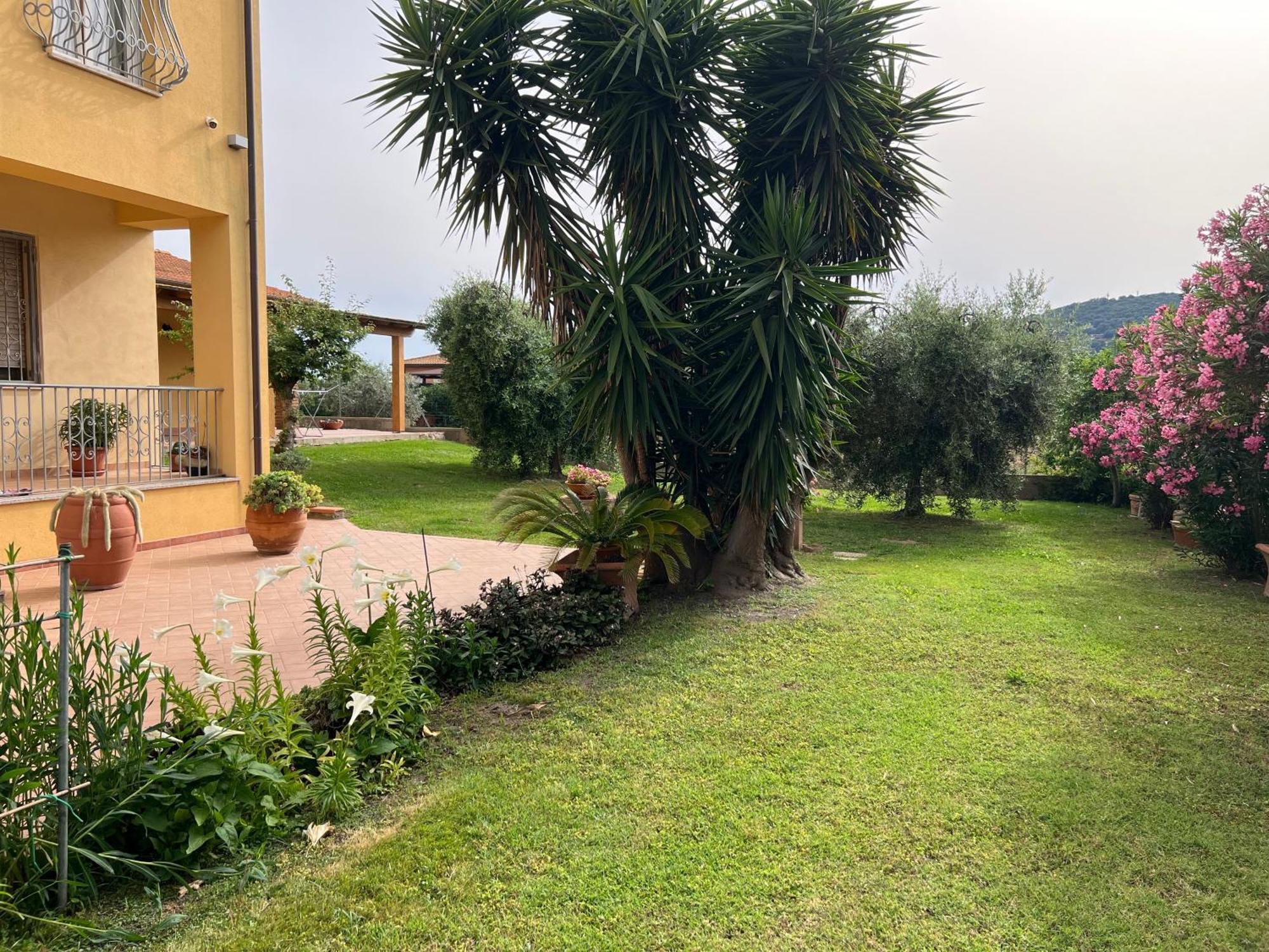 Agriturismo Il Giardino Degli Olivi Appartamenti Castiglione della Pescaia Buitenkant foto